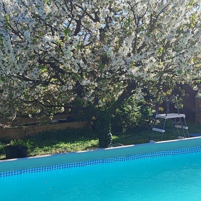 Havre De Paix Villa Corbeil-Essonnes Kültér fotó
